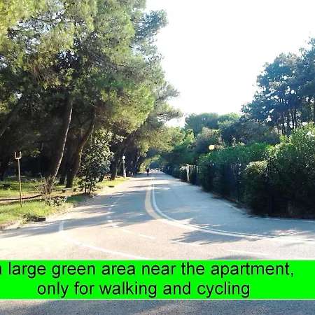 Lucerna At Sabbiadoro リニャーノ・サッビアドーロ